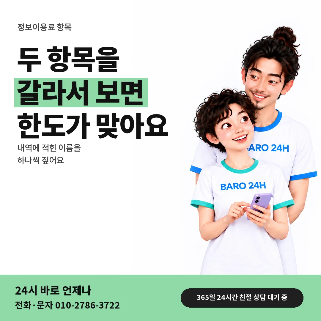 BARO 24H 티셔츠를 입은 3D 인물 옆에 「정보이용료 내역 속 항목 가르기」 제목을 얹은 안내 카드